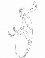 Coloring Baryonyx Library Clipart Line Gallimimus sketch template