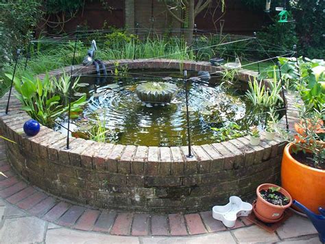 pond cleaning wilde waters