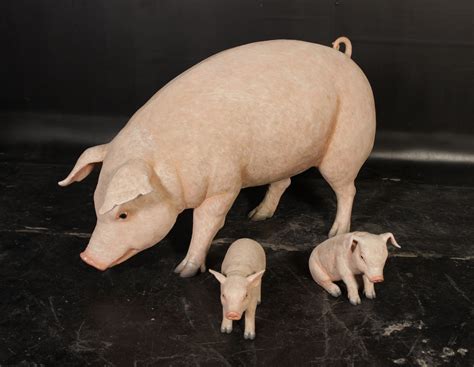 adorable pig family pig family pigfam  life size statues