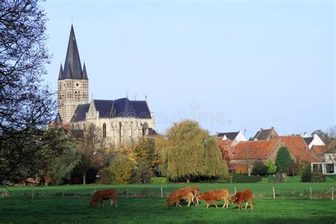 kerk op het centrum van dorpen  nederland stock afbeelding image  kerk landbouwgrond