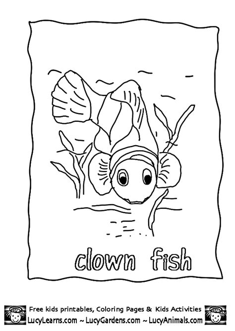 clown fish coloring page   clown fish coloring page
