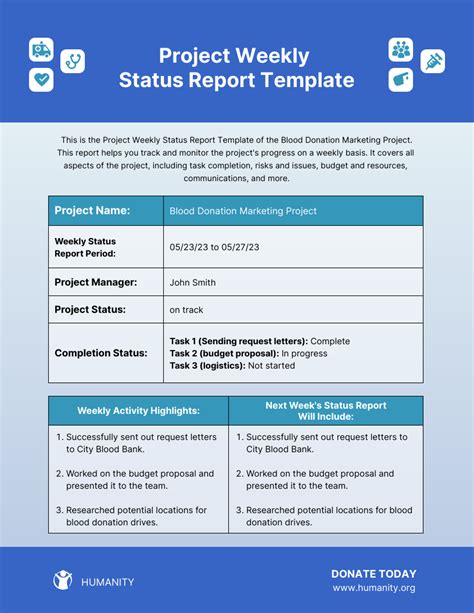 project weekly status report template venngage