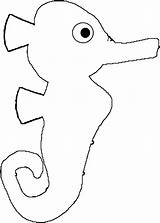 Seahorse Outline Coloring Wecoloringpage sketch template