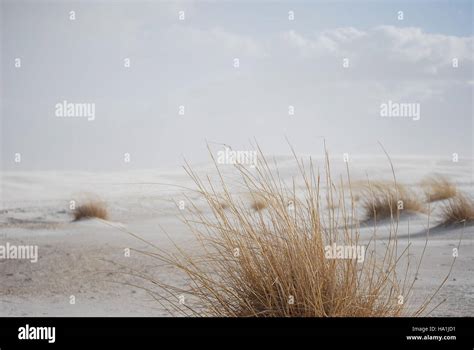march winds  res stock photography  images alamy