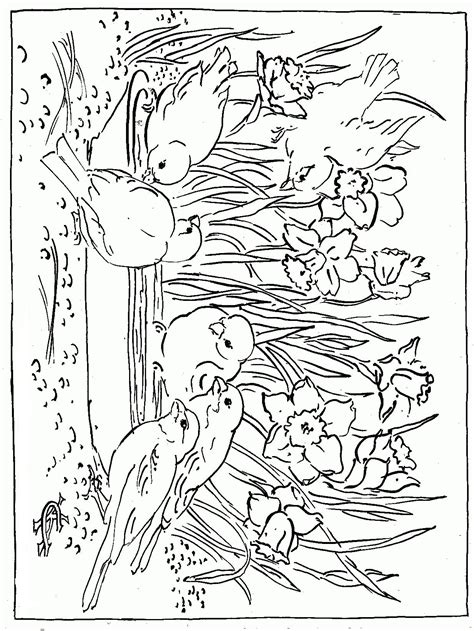 spring coloring pages coloringpagesonlycom