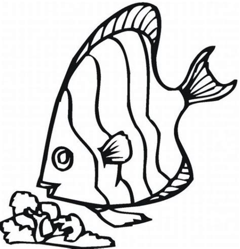 fish coloring pages coloring pictures fish coloring page rainbow