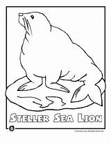 Endangered Coloring Pages Sea Animal Ocean Lion Animals Species Animaljr Kids Worksheets Lions sketch template
