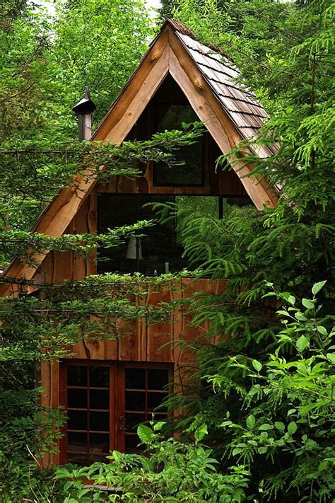 amazing forest house  built