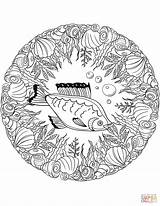 Coloring Mandala Fish Pages Mandalas Printable Drawing Dot Animal Supercoloring Categories sketch template
