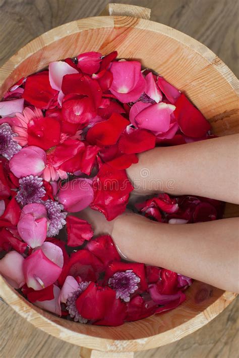 foot bath  flowers  spa salon stock image image  bathing