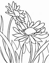 Coloring Spring Flower Daisy Fence Sun Over Color sketch template