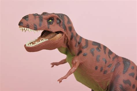 Jurassic Park T Rex Action Figure ~ Action Figure Collections