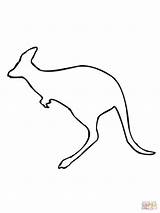 Kangaroo Aboriginal Leaping Clipartmag sketch template