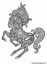 Horse Coloring Pages Adult Zentangle Animal Printable Head Cheval Vector Stock Ornate Doodle Hand Coloriage Adulte Color Book Vectors Shutterstock sketch template