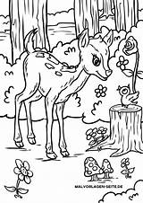 Reh Ausmalbild Malvorlage Zum Malvorlagen Ausmalen Viele Kinderbilder Tieren Mit Kostenlose Waldes Tier Großformat öffnen sketch template