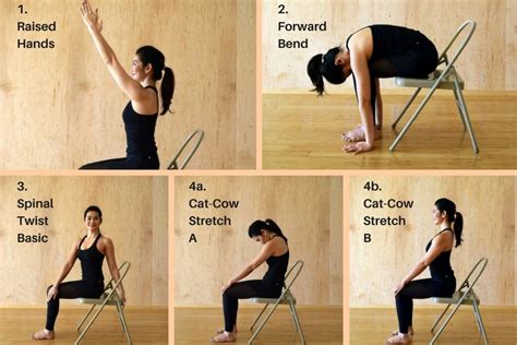chair yoga poses  benefits  lifestyle options