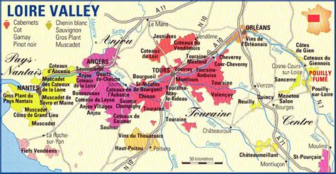 discovering loire valley wines