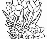 Coloring Flower Pages Wildflower Jasmine Spring Buttercup Printable Lotus Mandala Small Drawing Getcolorings Clipartmag Arrangement Cute Blooming Nature Beautiful Getdrawings sketch template