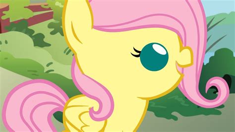 fluttershy mlp baby comicanimation compilation youtube