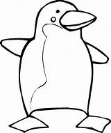 Pinguin Penguin Colorat Pinguino Frig Desene Planse Pinguinos Clopotel Puffles Idibujos Fise Etichete sketch template