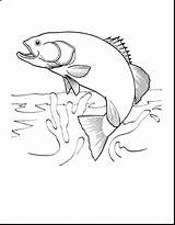 Fishing Coloring Pages Man Fish Getdrawings sketch template
