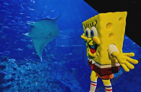 Nickalive Spongebob Squarepants And Friends Join Ocean