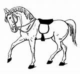 Horse Coloring Show Para Colorear Caballo Dibujos Dibujo Coloringcrew Book Print sketch template