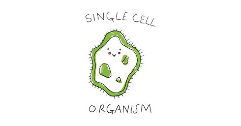 cute cell cell biology sticker teepublic
