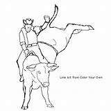 Bull Bucking Coloring Pages Rider Color Riding Rodeo Bulls Cowboy Riders Own Line Print Cowboys Horses Kids sketch template