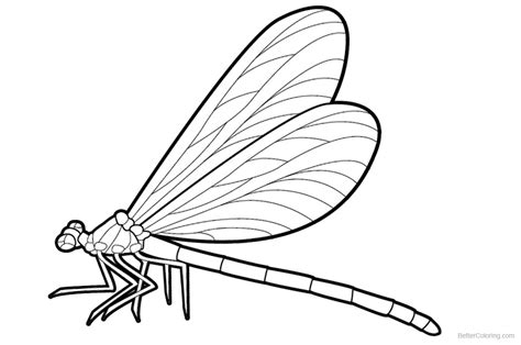 dragonfly coloring pages realistic drawing  printable coloring pages