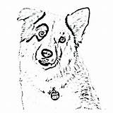Collie Coloring Pages Border Dog Color Borders Getcolorings Printable Getdrawings sketch template
