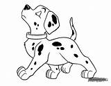 Puppy 101 Coloring Dalmatians Pages Nose Air Disneyclips Walking sketch template