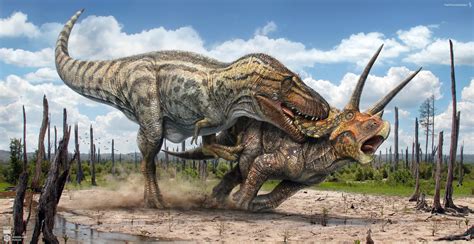 trex  triceratops  swordlordd  deviantart