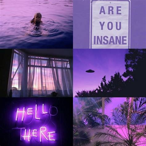 Dark Purple Moodboard Tumblr