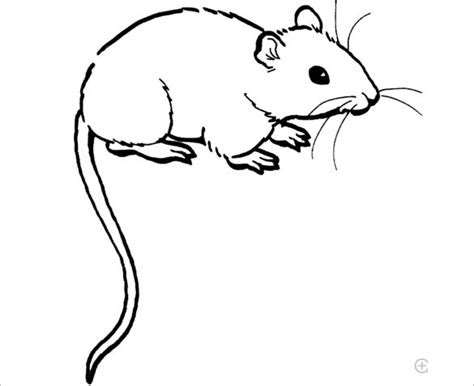 mouse templates crafts colouring pages  premium