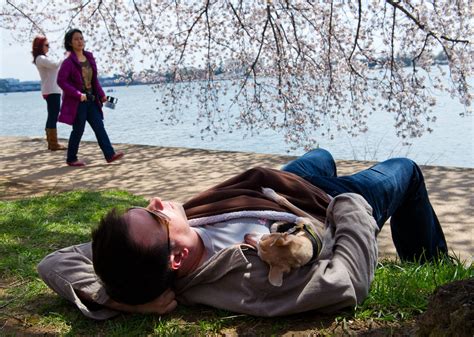 national napping day monday might help you adjust to daylight saving time how long s the ideal nap