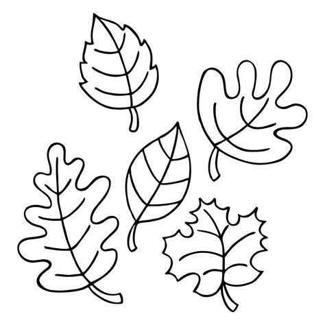 leaf patterns printable printable world holiday