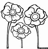 Poppy Colouring Coloring Printable Poppies Template Pages Remembrance Flower Anzac Drawing Color Online Kids Templates Thecolor Clip Clipart Getdrawings Visit sketch template