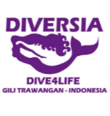 diversia scuba dive shop  gili trawangan dive indonesia