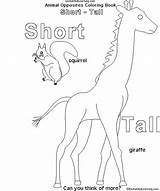 Opposites Tall Short Coloring Animal Crafts Kindergarten Book Enchantedlearning Learning Subscribers Estimate 1st Grade Level sketch template