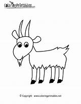 Goat Coloring Pages Printable Animal Cute Animals Coloringprintables Thank Please Choose Board Popular sketch template