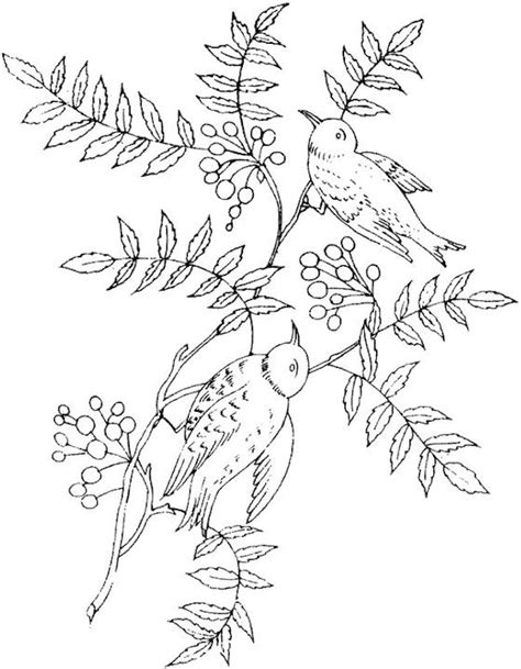 bird coloring page