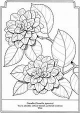 Coloring Pages Dover Publications Flowers Welcome Psalm Book Para Flower Colorir Adultos Adults Printable Color Adult Escolha Pasta Zb Doverpublications sketch template