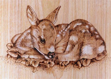 wood burning wildlife  rights reserved copyright  danette smith