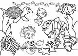 Peixes Peixe sketch template