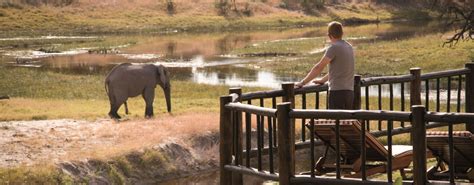 7 Day Ultimate Luxury Botswana Wildlife Safari Okavango Delta