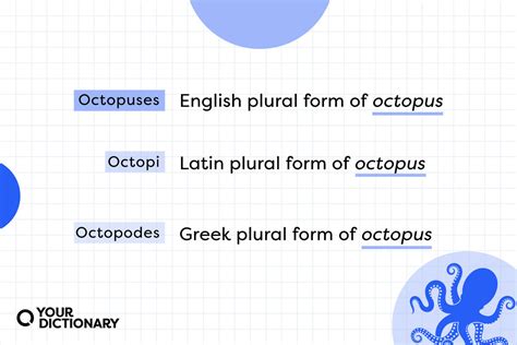 octopi  octopuses  correct plural  octopus yourdictionary