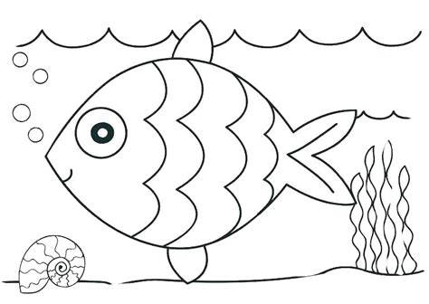 easy  draw fish  shell ocean coloring pages  kindergarten
