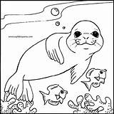 Seal Coloring Pages Preschool Elephant Animals Monk Seals Kids Colouring Cute Baby Printable Harp Navy Color Animal Print Drawing Getdrawings sketch template