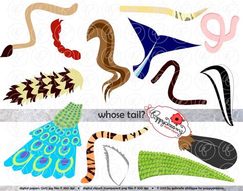 animal tail clip art clip art library